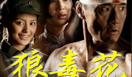 电视剧狼毒花,烽火岁月里的英雄传奇