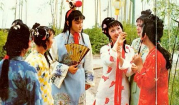 电视剧 红楼梦,红楼梦里的爱恨情仇