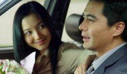 黑色郁金香电视剧,暗夜绽放的复仇传奇